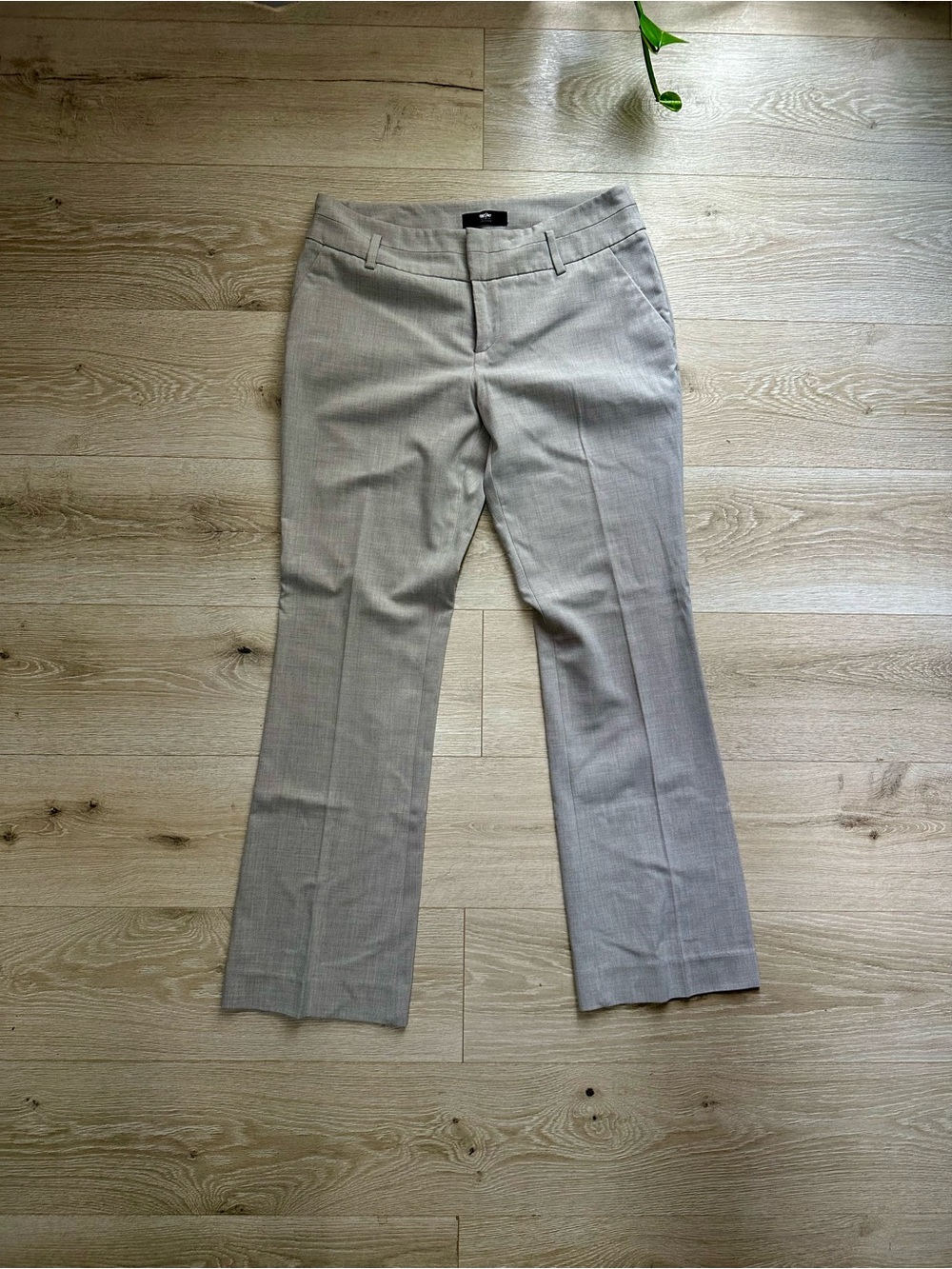 Massimo Light Beige Women's Dress Trousers